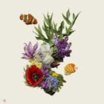 Artist Forages Fallen Flora and Arranges It Into Exquisite Portraits of Animals and Insects